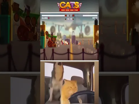 He Really Thought He Was Winning 💀| C.A.T.S. #gaming #cats #catsgame #games
