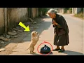 Download Lagu Seekor Anak Anjing Membawa Kantong Plastik Hitam untuk Memohon pada Seorang Nenek – Apa yang Dili...