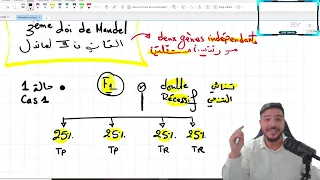 dihybridisme : les astuces de desux gènes liés ou indépendants