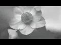 M.Ravel - Deux épigrammes de Clément Marot - D'anne qui me jecta de la neige - Dutilleul - Lahiry