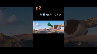 بداية هجرة البط كرتون فيلم Migration هجرة البط ملخص فيلم رسوم متحركة أفلام كرتون 