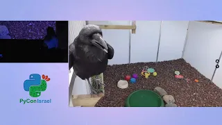 Giving Voice to a Raven Analysis and Servo Control with Python Anat Wax