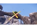SNOW The New Open World Ski Game