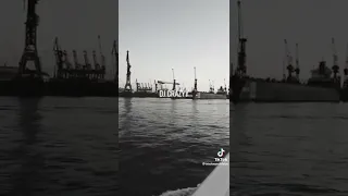 الوحده حيطان معزوله   بوسي            دندنها