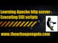Learning Apache http server - Executing CGI scripts
