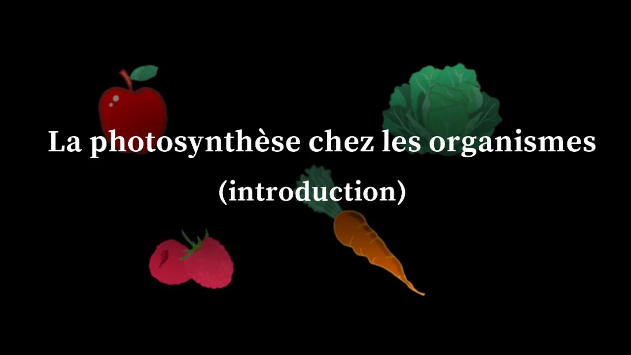 La photosynthèse chez les organismes | Introduction | Matière et énergie chez les organismes