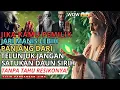 Download Lagu Jiwa Terpilih💫Dahsyatnya! 7 Ledakan Kekuatan Ghaib saat Pemilik Jari Manis  Bertemu Daun Sirih!😱😱🚀