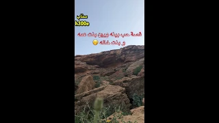      قصة حب بينه وبين بنت عمه و بنت خاله      دندنها