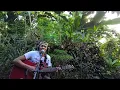 Bigay Ka Ng Maykapal cover by Jovs Barrameda