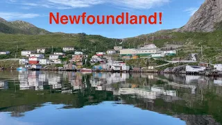NEWFOUNDLAND