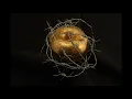 Download Lagu Forbidden Fruit-Free Rap Beat