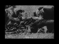 Download Lagu Vultures Feasting, 1930s - Archive Film 1068220