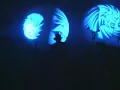Primus - American Life (live)