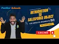 DAY2 Introduction to Objects Various Types in salesforce with sfdcpanther