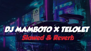 Download DJ MAMBOTO X TELOLET (SLOWED REVERB) 🎧 MP3