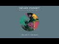 Trilane ft. Tom Noah - Never Forget (Nicky Romero Edit)