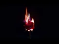 Download Lagu Roses are red, and your life is miraculous...