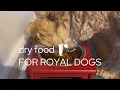 Review Royal Canin Adult Dry Dog Food - will my dog like the taste and texture