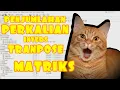 CODING JAVA PENJUMLAHAN PERKALIAN INVERS TRANPOSE MATRIKS NETBEANS