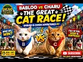 Babloo vs Charu The Great Cat Race Babloo Charu Adventures