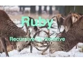 Iterative v Recursive -