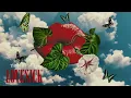 The Happy Fits - I Still Think I Love You (Official Audio)