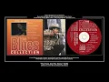 *(1975) Black & Blue ''The Train And The Horse'' (N 048-6 Master) Lonnie Brooks