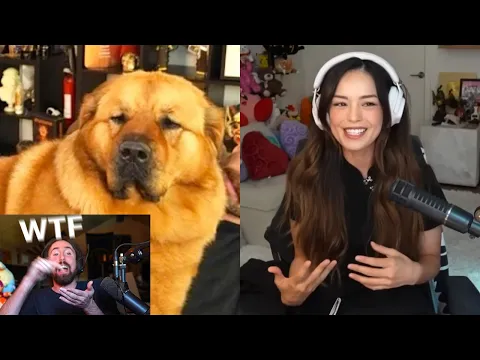 Video Thumbnail: This got even worse..