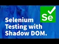 Selenium Tutorial for Beginners 9 - Selenium Testing with Shadow DOM