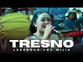 TRESNO LARANGAN - TAYUB GLERRRRRR - VOC : WILIS || KINANTHI BUDAYA - YAPA SANDY MEDIA