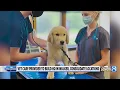 Vet care provider to build in Walker consolidate
