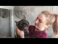 Janry Pet Resort - The Coolest Place For Pets in New Jersey