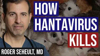How Hantavirus Kills