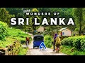 Download Lagu Wonders of Sri Lanka | A Drop in the Indian Ocean | Most Amazing Places in Sri Lanka | 4K