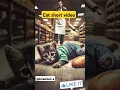 Download Lagu cat short video, 🐈🐈