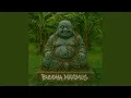 Happy Buddha