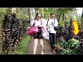 Download Lagu Funny video The Ghost Prank and Bushman Prank..!! #funny #happy #entertainment