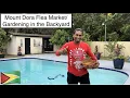 MOUNT DORA FLEA IN THE BACKYARD