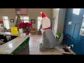 A Crate Escape pet boarding grooming training and daycare