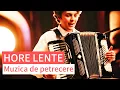 Download Lagu Muzică de petrecere. Horă lentă
