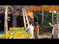 Download Lagu 🔴 BANG REY LAMPUNG TERBARU||ASTAGHFIRULLAH REMONDO DAN BUNG LAGA TERKENA AZAB KARNA BAKAR PADEPOKAN 