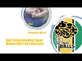 Ball Python Breeding Super Mojave x Fire Bee Enchi