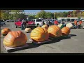 New Pumpkin Record Set In Stillwater