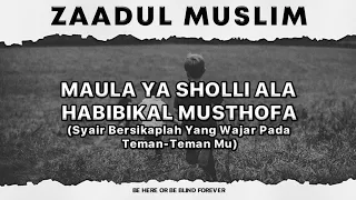 Download Maula Ya Sholli Ala Habibikal Musthofa (Syair) | Zaadul Muslim Sholawat MP3