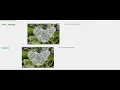 plant leaf disease prediction using models PyTorch TensorFlow Keras Fast ai - Premium Projects