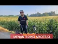 Download Lagu UANG 27 M YANG DIKEMBALIKAN MAQDIIR ISMAIL HARUS DIUSUT, MILIK  DINO ARIOTEJO?j