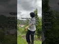 What does this song sound like? #music #dreampop