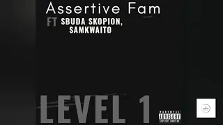 assertive fam level 1 feat sbuda skopion u0026 samkwaito 