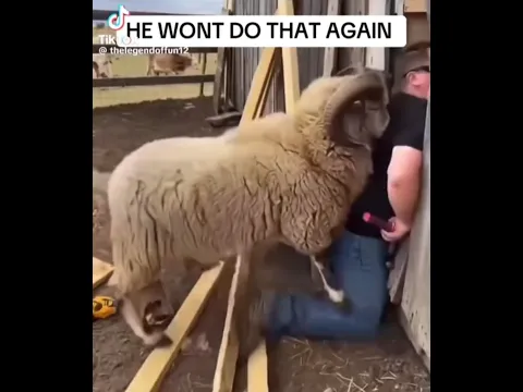 Don't watch this Video