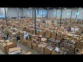 Mega AUCTION